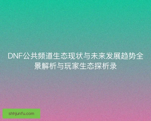 DNF公共频道生态现状与未来发展趋势全景解析与玩家生态探析录